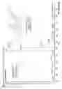 Fig. 19 - Polynucleotides having bioreversible groups