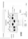 Fig. 28 - Polynucleotides having bioreversible groups
