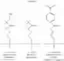 Fig. 84 - Polynucleotides having bioreversible groups