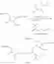 Fig. 87 - Polynucleotides having bioreversible groups