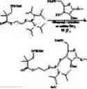 Fig. 89 - Polynucleotides having bioreversible groups