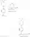 Fig. 91 - Polynucleotides having bioreversible groups