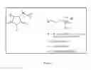 Fig. 02 - Nanoparticle compositions of antibacterial compounds and other uses thereof