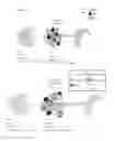 Fig. 21 - Depletion of cancer stem cells
