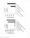 Fig. 27 - Depletion of cancer stem cells