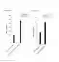 Fig. 34 - Depletion of cancer stem cells