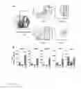 Fig. 05 - METHODS TO ISOLATE HUMAN MESENCHYMAL STEM CELLS