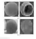 Fig. 05 - NOVEL HOLLOW PARTICLES