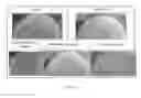Fig. 13 - NOVEL HOLLOW PARTICLES