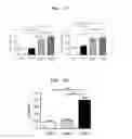 Fig. 10 - Method for in vitro proliferation of cell population containing cells suitable for treatment of ischemic disease