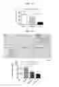 Fig. 12 - Method for in vitro proliferation of cell population containing cells suitable for treatment of ischemic disease