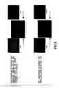 Fig. 10 - CD34 STEM CELL-RELATED METHODS AND COMPOSITIONS