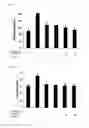 Fig. 04 - Method for isolating fraction having anti-inflammatory or osteoarthritis-inhibiting effects by using oyster shell chips