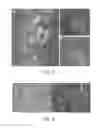 Fig. 03 - AAV vectors targeted to oligodendrocytes