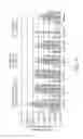 Fig. 04 - AAV vectors targeted to oligodendrocytes