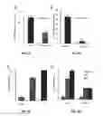 Fig. 04 - Use of miR-494 to modulate TRAIL-induced apoptosis through BIM down-regulation