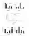 Fig. 12 - Use of miR-494 to modulate TRAIL-induced apoptosis through BIM down-regulation