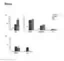 Fig. 06 - DNA vaccines encoding heat shock proteins