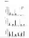 Fig. 07 - DNA vaccines encoding heat shock proteins