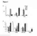 Fig. 08 - DNA vaccines encoding heat shock proteins