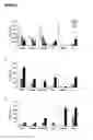 Fig. 09 - DNA vaccines encoding heat shock proteins