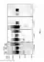 Fig. 09 - BIOCONJUGATES COMPRISING MODIFIED ANTIGENS AND USES THEREOF
