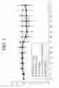 Fig. 03 - Nonspecific immunostimulator composition, method of preparation the same, and its use