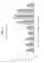 Fig. 04 - Nonspecific immunostimulator composition, method of preparation the same, and its use