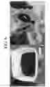 Fig. 07 - Nonspecific immunostimulator composition, method of preparation the same, and its use