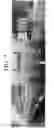 Fig. 08 - Nonspecific immunostimulator composition, method of preparation the same, and its use