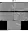 Fig. 23 - Nonspecific immunostimulator composition, method of preparation the same, and its use