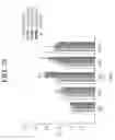 Fig. 29 - Nonspecific immunostimulator composition, method of preparation the same, and its use
