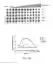 Fig. 08 - CD47 antibodies and methods of use thereof