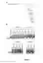 Fig. 02 - Peptide-linked morpholino antisense oligonucleotides for treatment of myotonic dystrophy