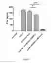 Fig. 02 - Compositions and Methods for Delivery of Antigens to Plasmacytoid Dendritic Cells