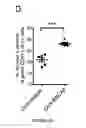Fig. 09 - Compositions and Methods for Delivery of Antigens to Plasmacytoid Dendritic Cells
