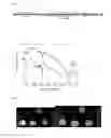 Fig. 02 - Contrast Agent and Applications Thereof