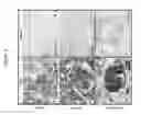 Fig. 04 - Organ/tissue decellularization, framework maintenance and recellularization