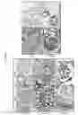 Fig. 05 - Organ/tissue decellularization, framework maintenance and recellularization
