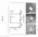 Fig. 07 - Organ/tissue decellularization, framework maintenance and recellularization