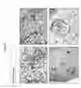 Fig. 09 - Organ/tissue decellularization, framework maintenance and recellularization