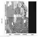 Fig. 17 - Organ/tissue decellularization, framework maintenance and recellularization