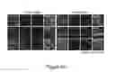 Fig. 25 - Organ/tissue decellularization, framework maintenance and recellularization