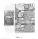 Fig. 26 - Organ/tissue decellularization, framework maintenance and recellularization