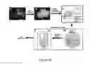 Fig. 33 - Organ/tissue decellularization, framework maintenance and recellularization