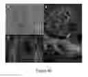 Fig. 41 - Organ/tissue decellularization, framework maintenance and recellularization