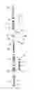 Fig. 01 - Drug delivery device
