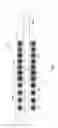 Fig. 06 - GUIDE WIRE