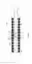 Fig. 07 - GUIDE WIRE