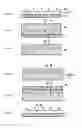 Fig. 04 - Needle-like structure and method for manufacturing the same